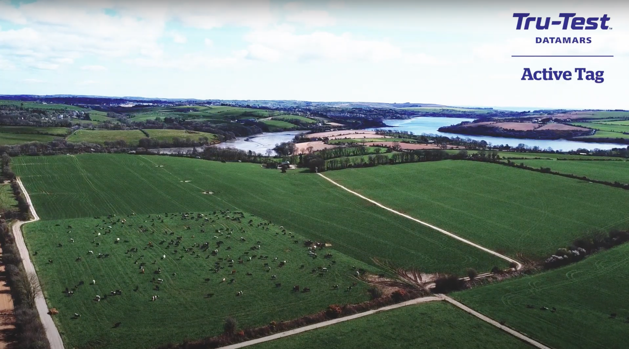 Kinsale based dairy farmer discusses how technology has revolutionised his livestock management