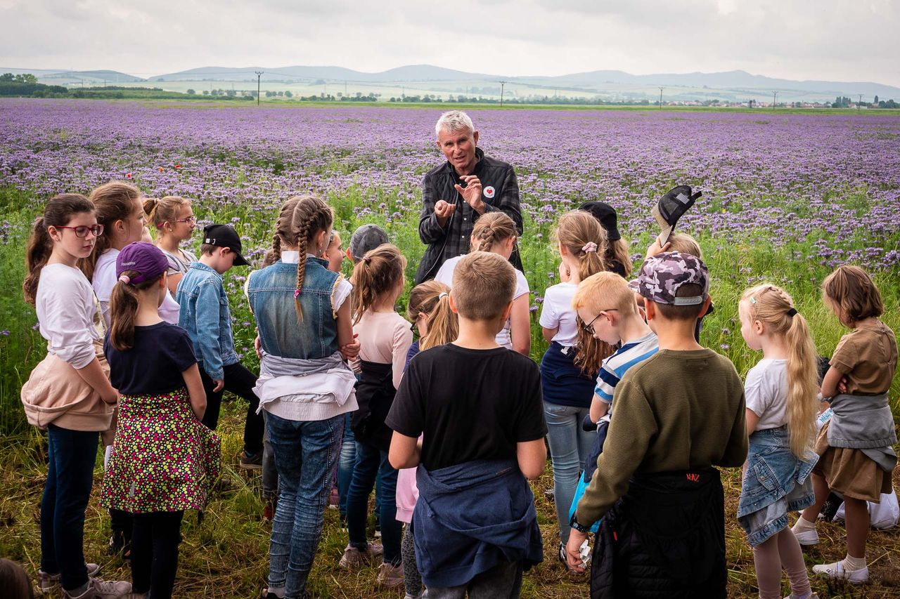 Slovakian regenerative farming improves soil and reduces inputs cost