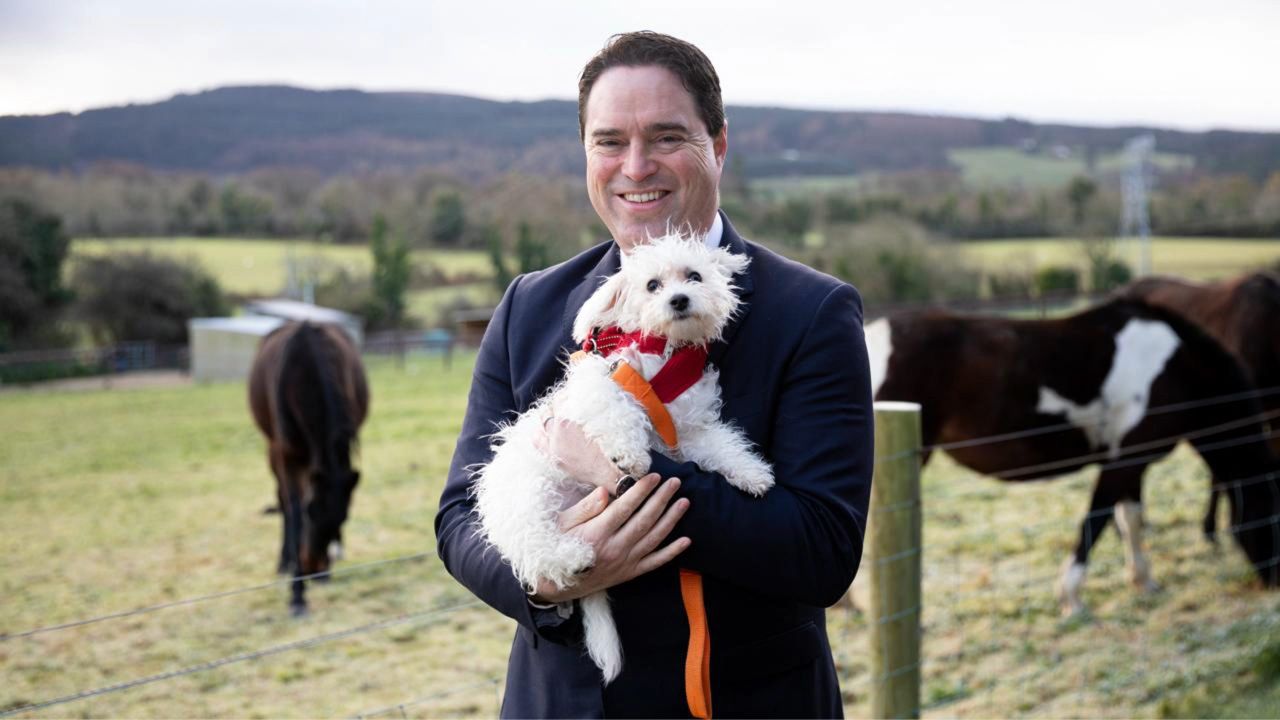 Views sought on new DAFM animal welfare strategy