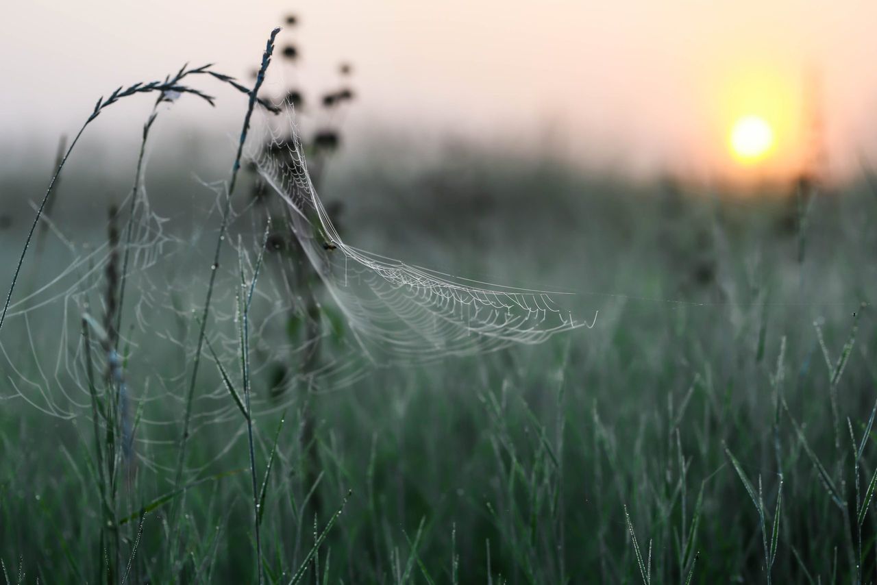 'Largely dry conditions' this week but weather to turn colder  - Met Éireann