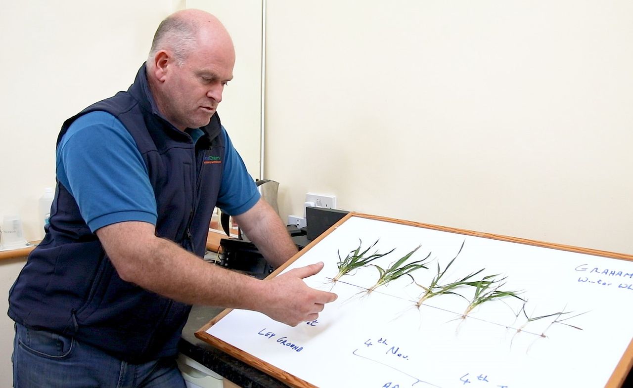 CROPS WATCH: Root growth essential to reach potential yields