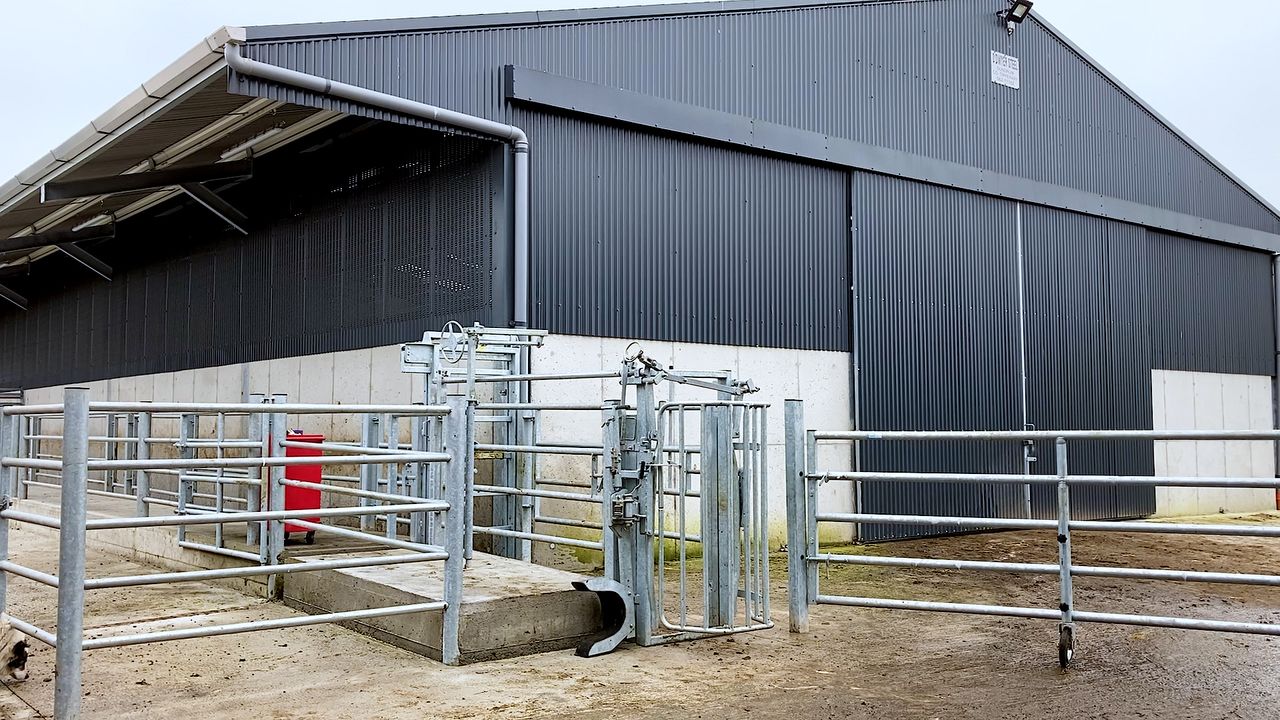 Buildings Focus: A loose shed and a top class handling facility in Co. Tipperary