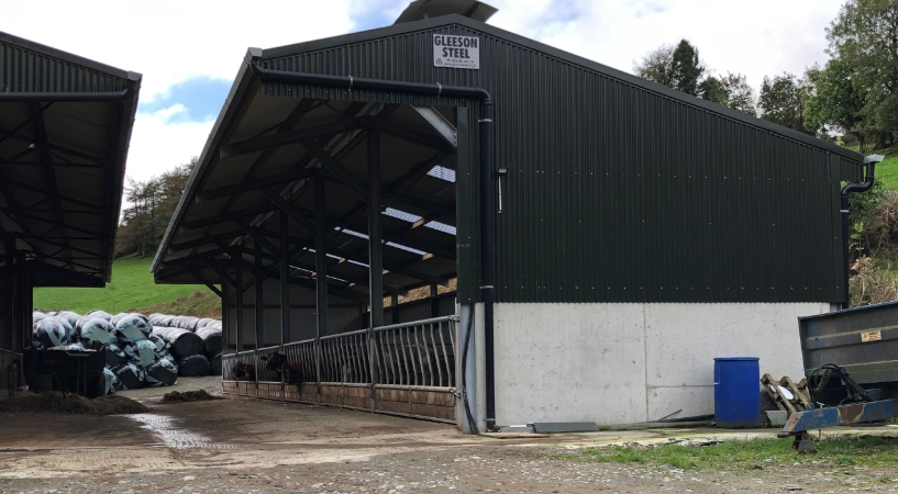Buildings focus: Housing for 130 head of cattle in a 12-bay slatted unit