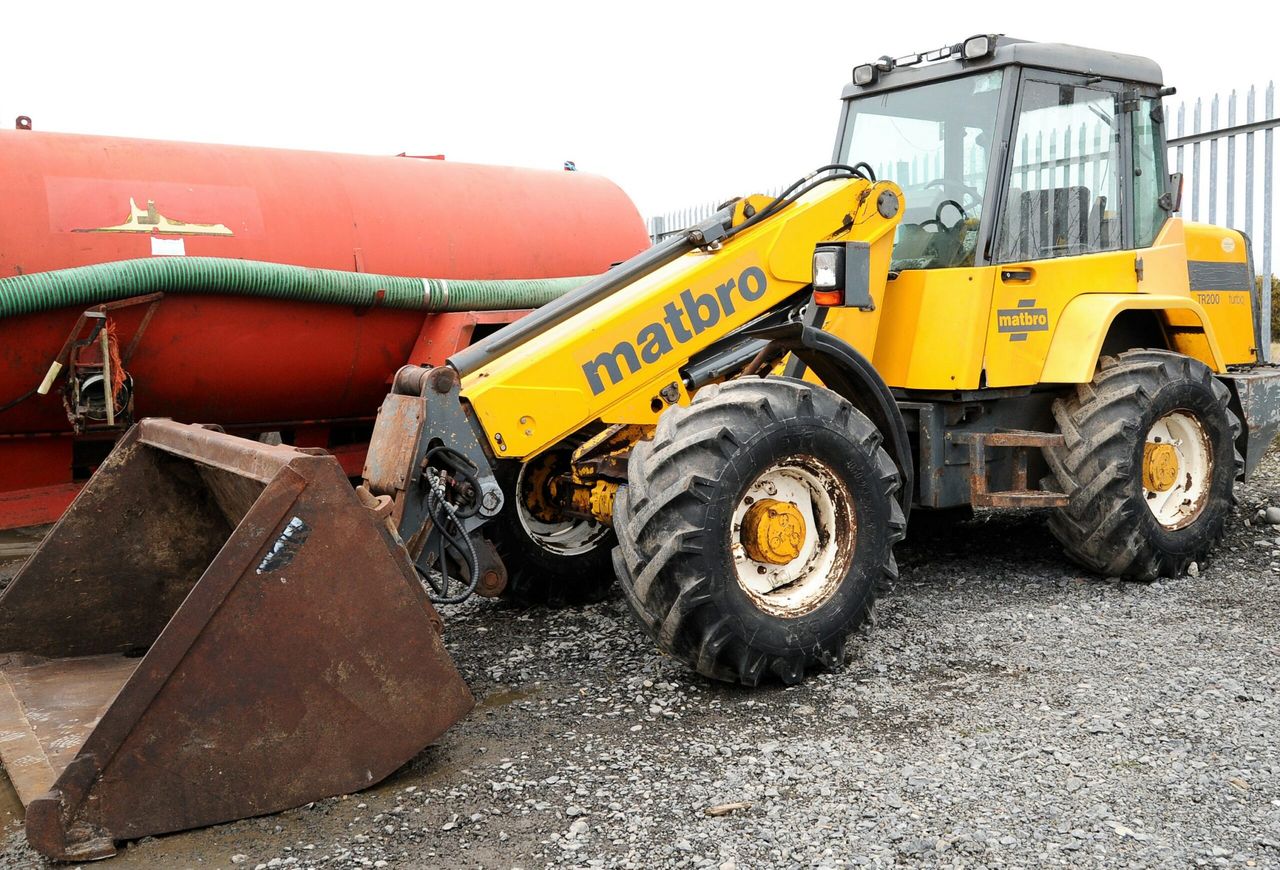 Auction report: Check out these 'lots' at this Portlaoise sale
