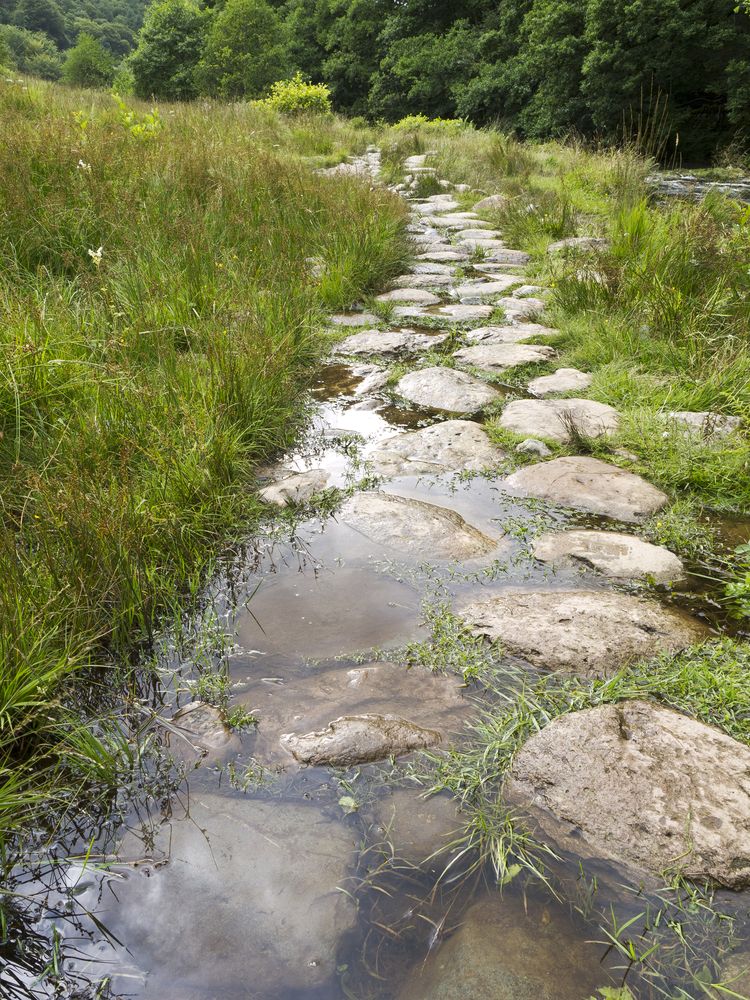 Video: Rural Development Programme and the environment