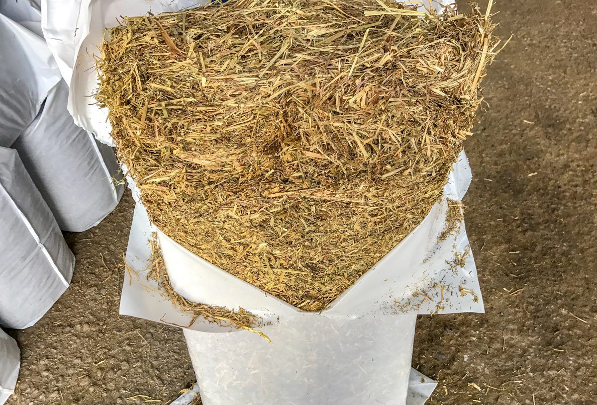 Forage focus: Producing 20,000 bales of haylage in Co. Tipperary