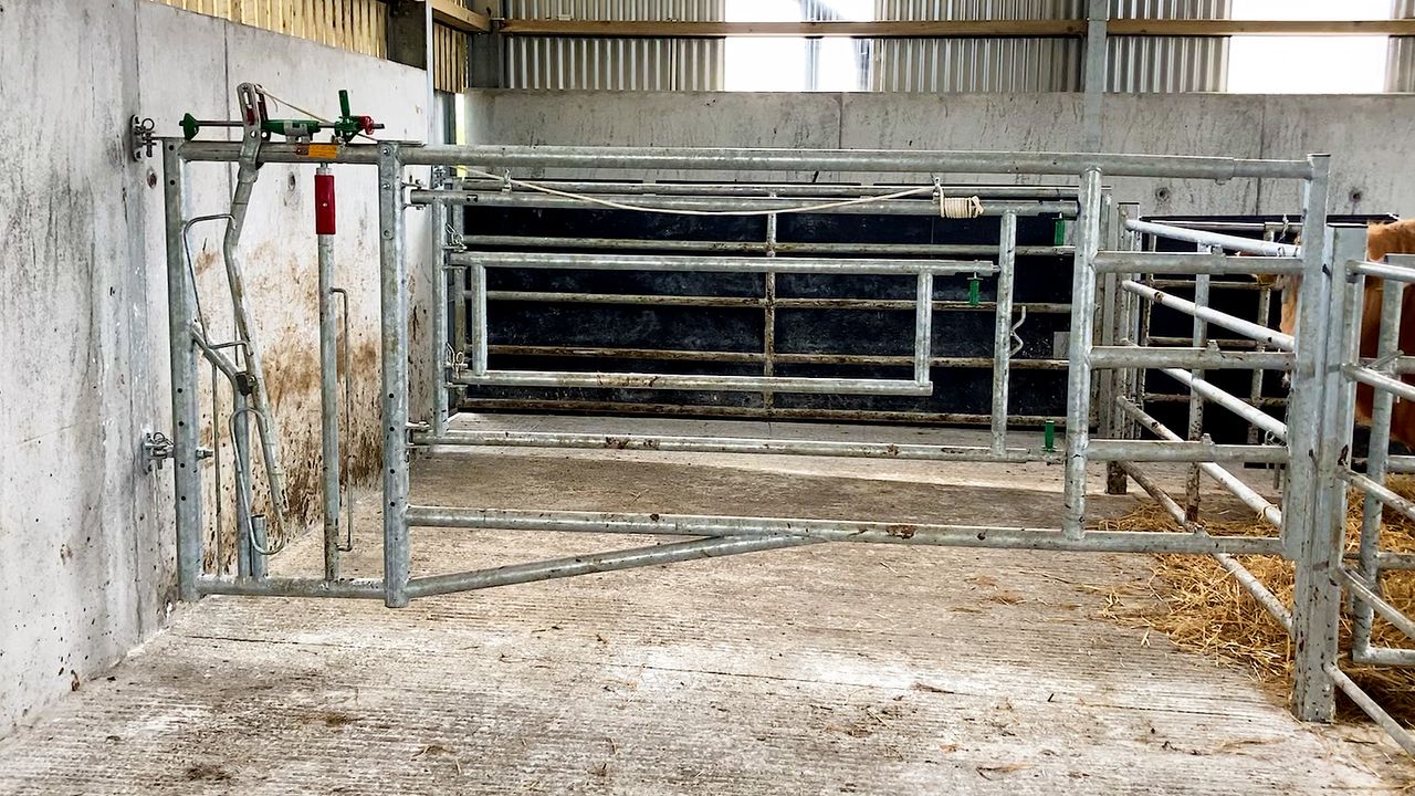 Getting calving and calf rearing facilities ready for autumn calving