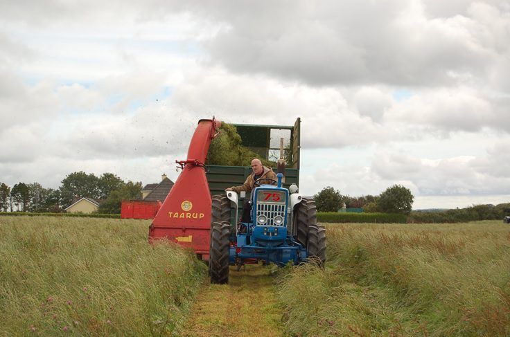 Video: Classic harvesters cutting silage in Cork