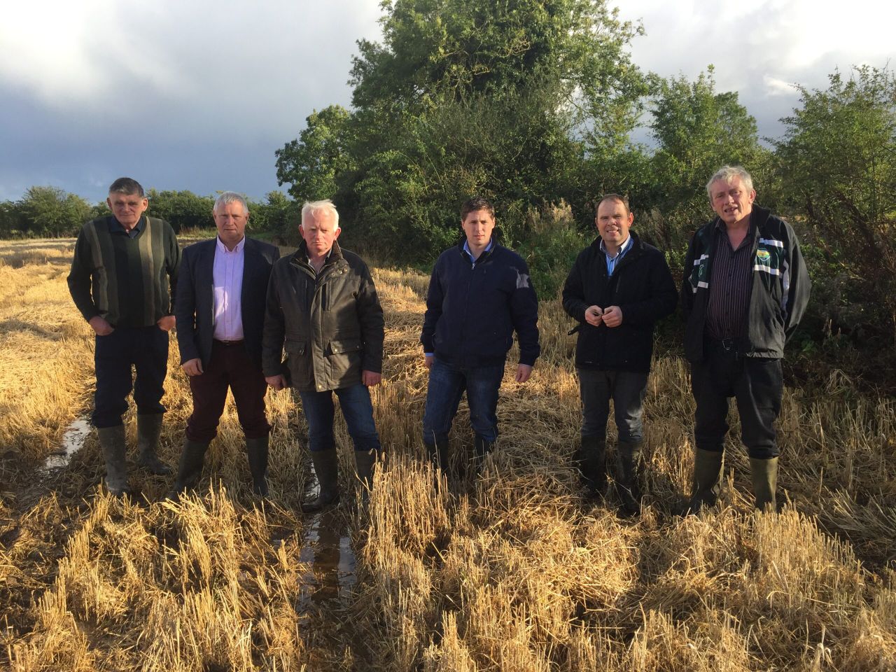 MEPs seek Government intervention for tillage farmers