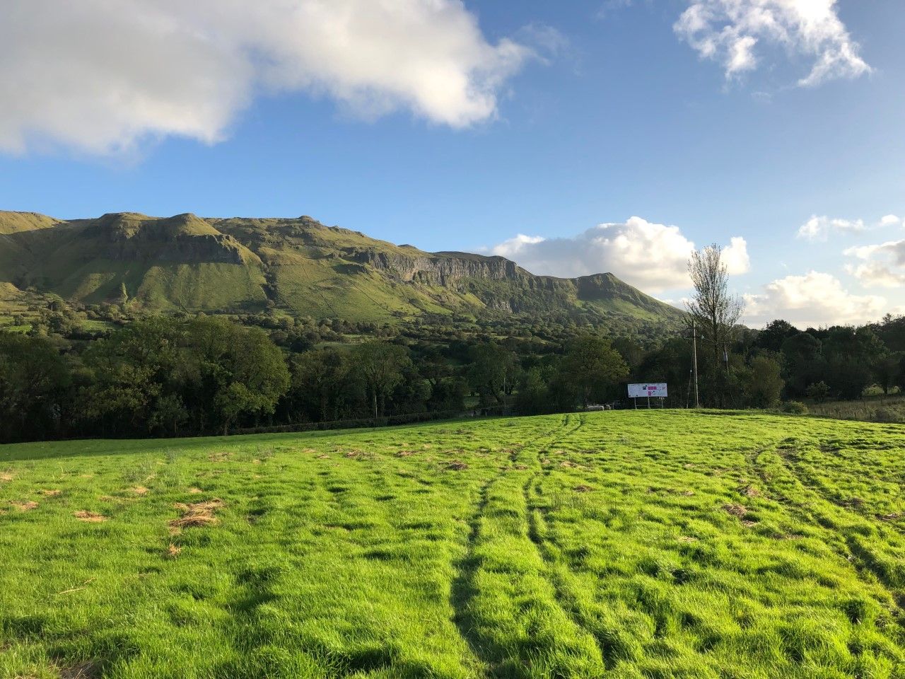 Sheep grassland management: Closing up paddocks for next spring a priority