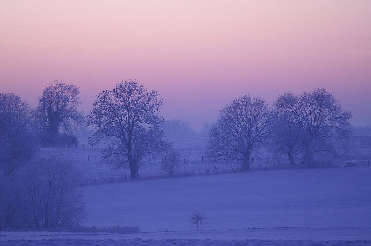 Status Orange warning for freezing fog issued