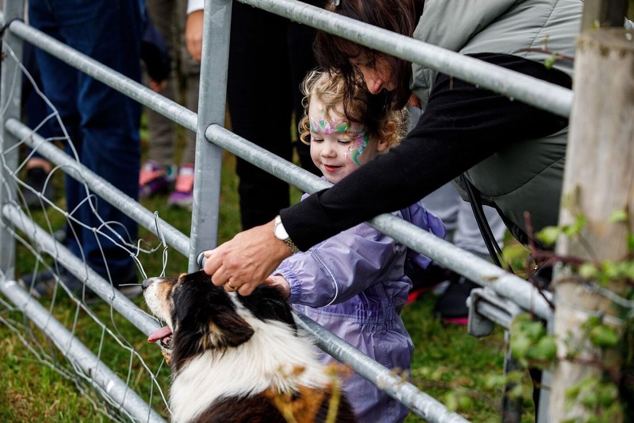 Celebrate farming, flavours, and autumn fun at Airfield Harvest Festival