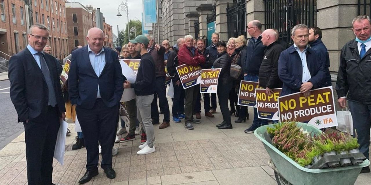 Horticulture sector 'abandoned': Growers protest in Dublin