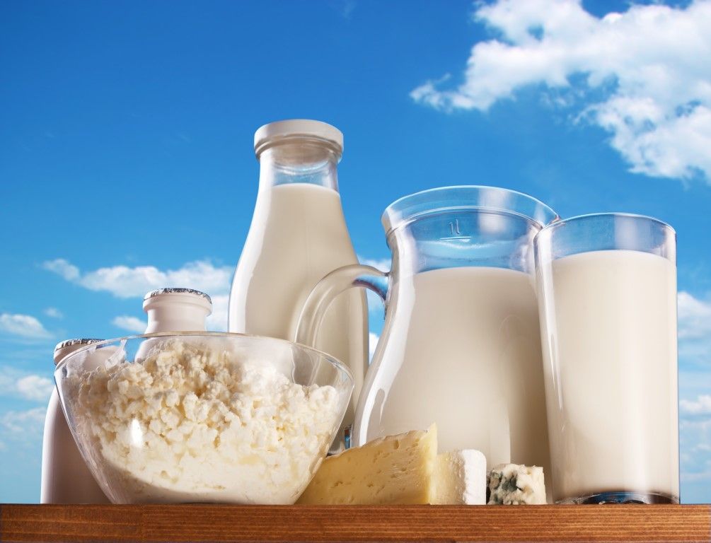Raw milk found to contain harmful bacteria - Food Safety Authority
