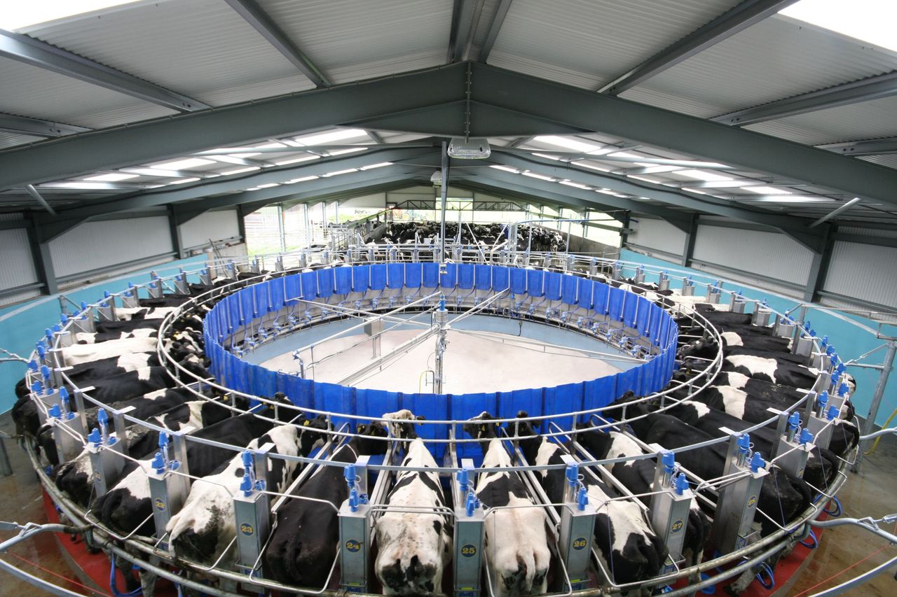 Glanbia: 'Conflicting dynamics' playing out in dairy markets