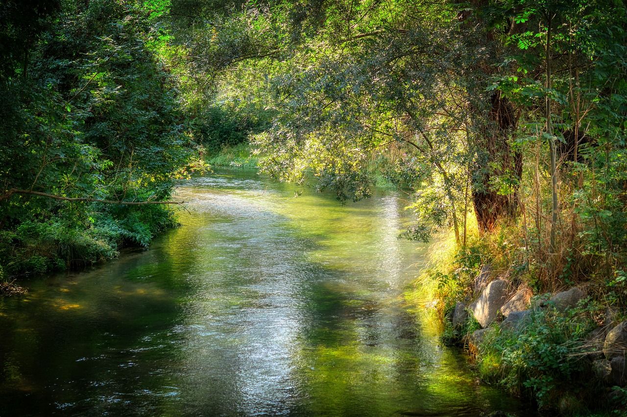 Nitrogen 'concentrations' in rivers at lowest level since 2016 - EPA