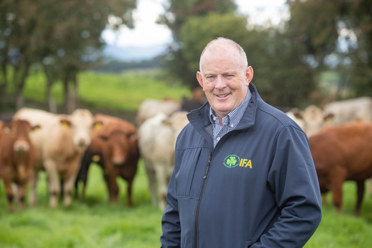 Gorman urges factories not to 'undermine' beef prices