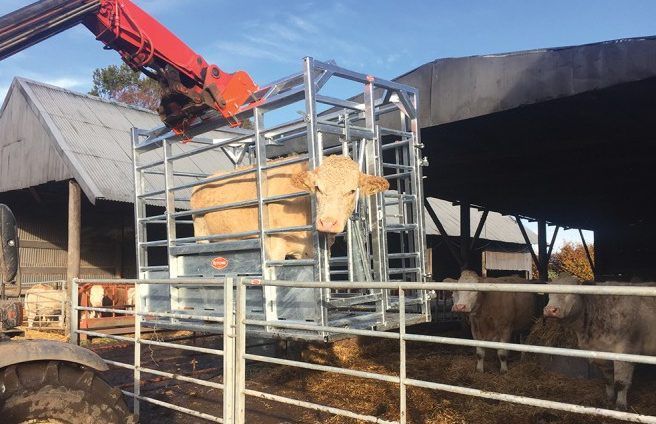 Pics: Could this portable frame make suckler calving a lot easier?