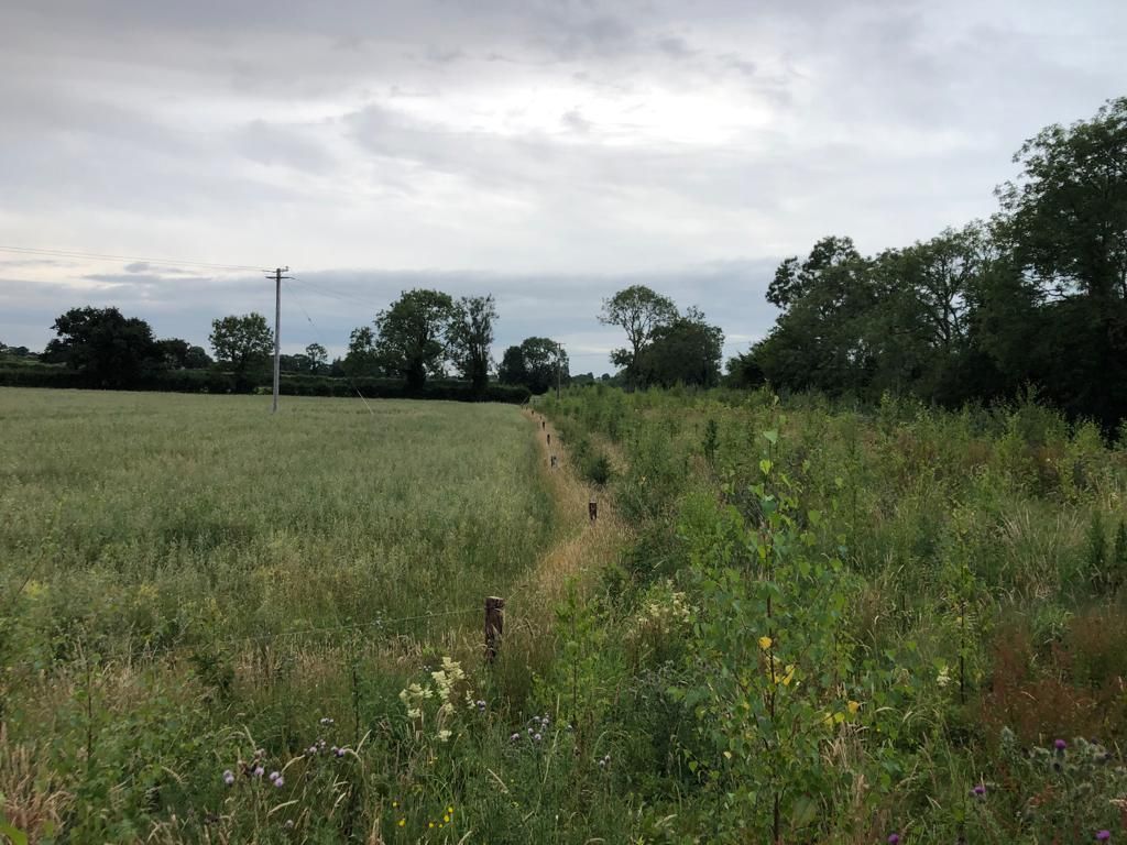 Call for 'full tax exemptions' on environmental schemes in budget