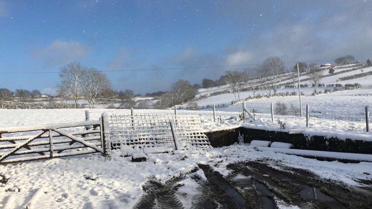 Disruptive snow showers on the cards as cold snap set to hit Ireland