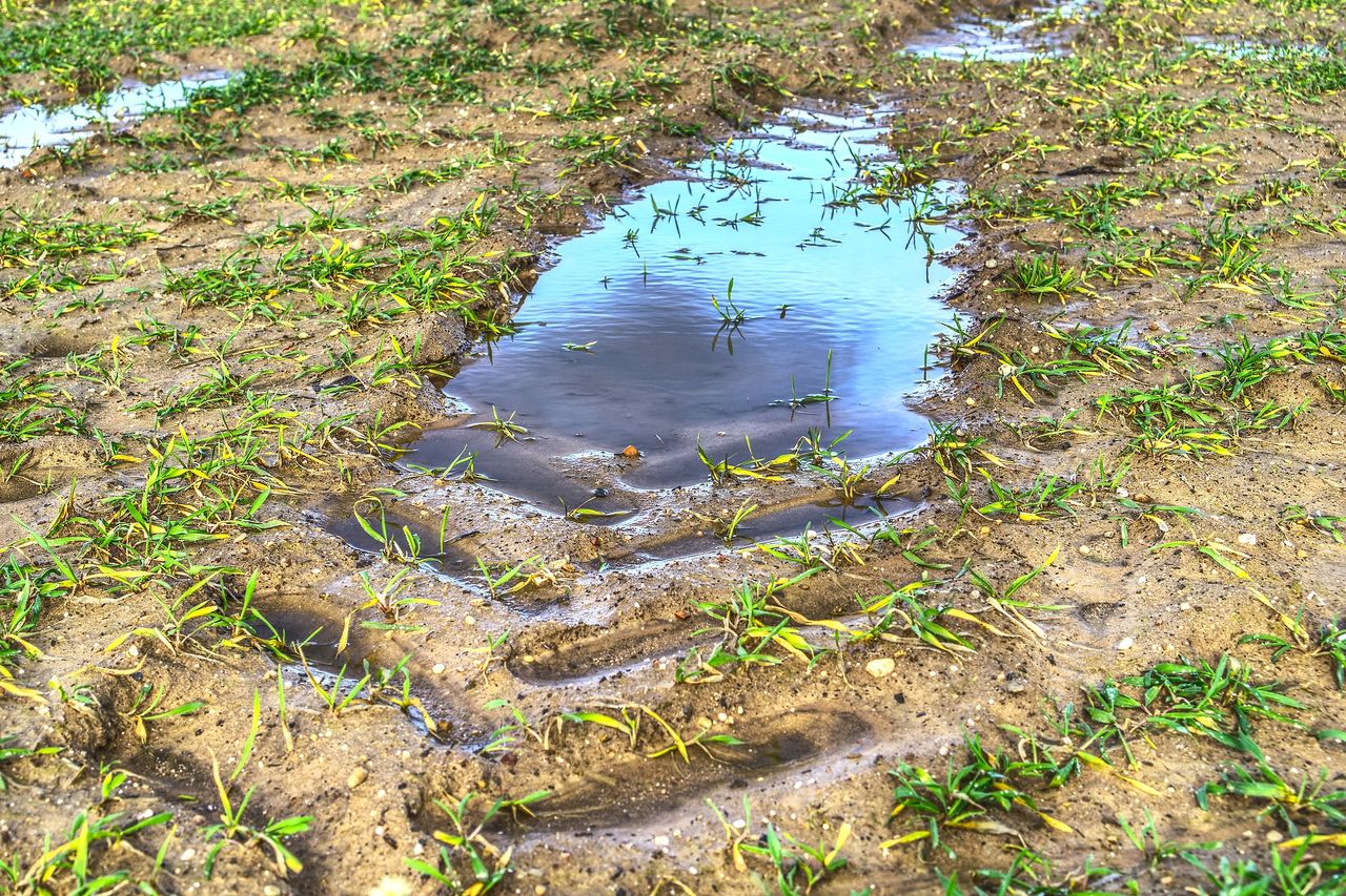 Weekend weather: Heavy rainfall in places with a risk of some localised flooding