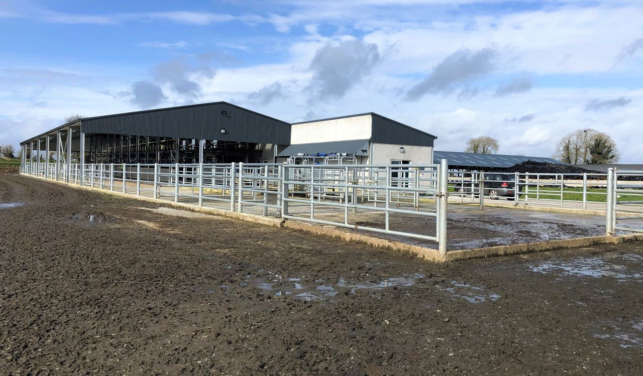 Dairy focus: 'Maximising comfort and minimising stress' with new facilities in Gurteen
