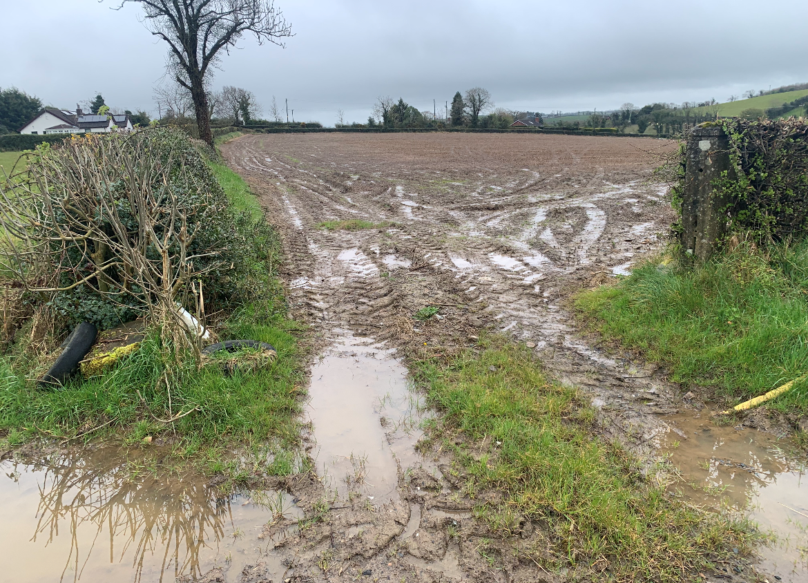 Opinion: Is it the right time to 'fix' prices for malting barley?