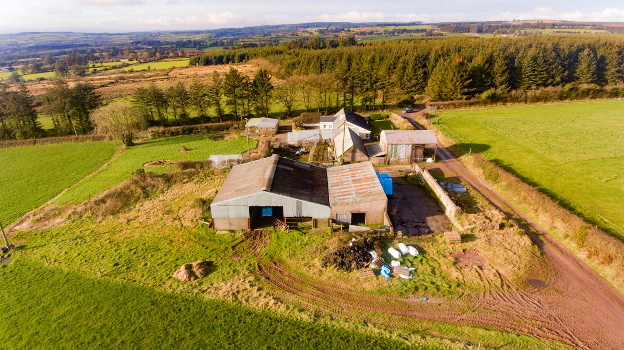 Permanent pasture, forestry and outbuildings...for sale on a 79ac residential holding
