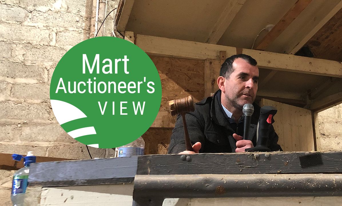 'Grass farmers were out in force this week' - Eamon Gaffney