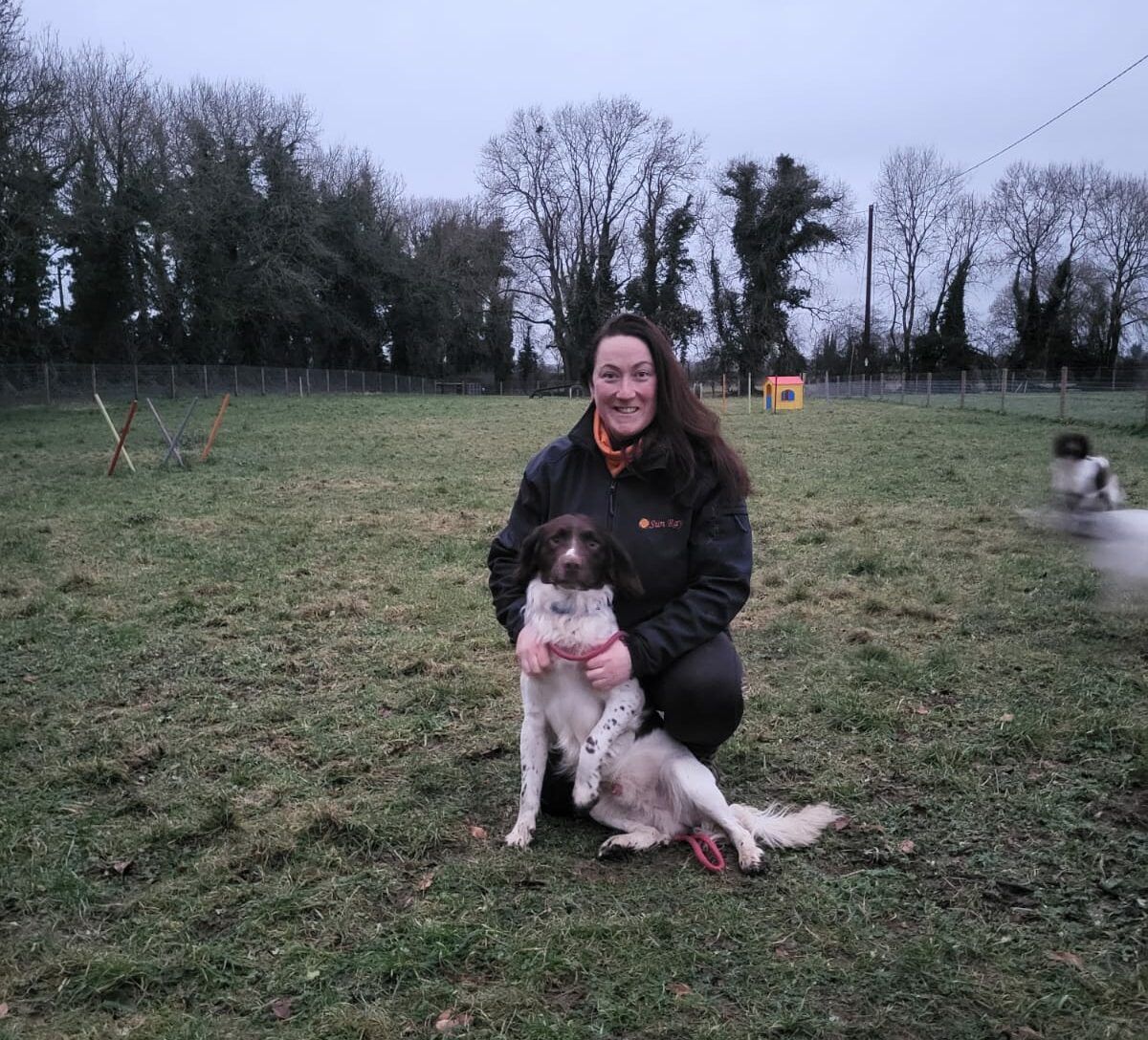 Westmeath couple undergo farm diversification with canine twist