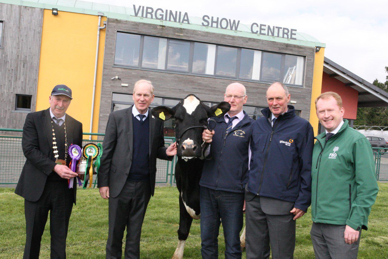 Almost 100 cattle entered in the first dairy cattle show of the year