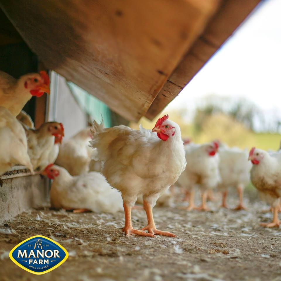 Manor Farm among top winners at National Q Mark Awards