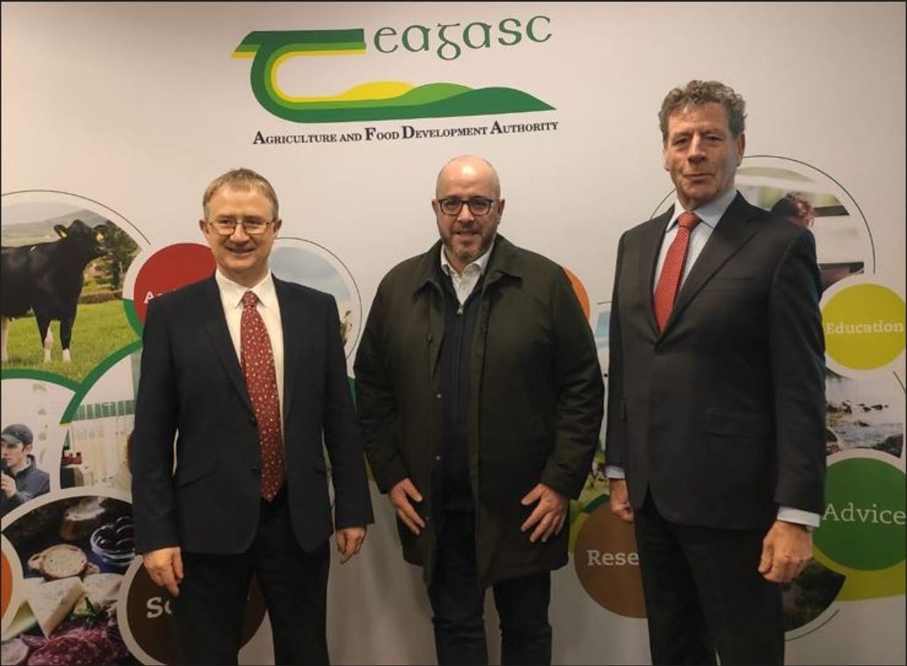 MEP raises concerns over how farmers will fare in climate strategy