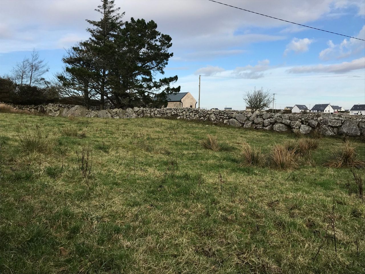 Mixed farm gives opportunity for local Galway landowners to extend existing holding
