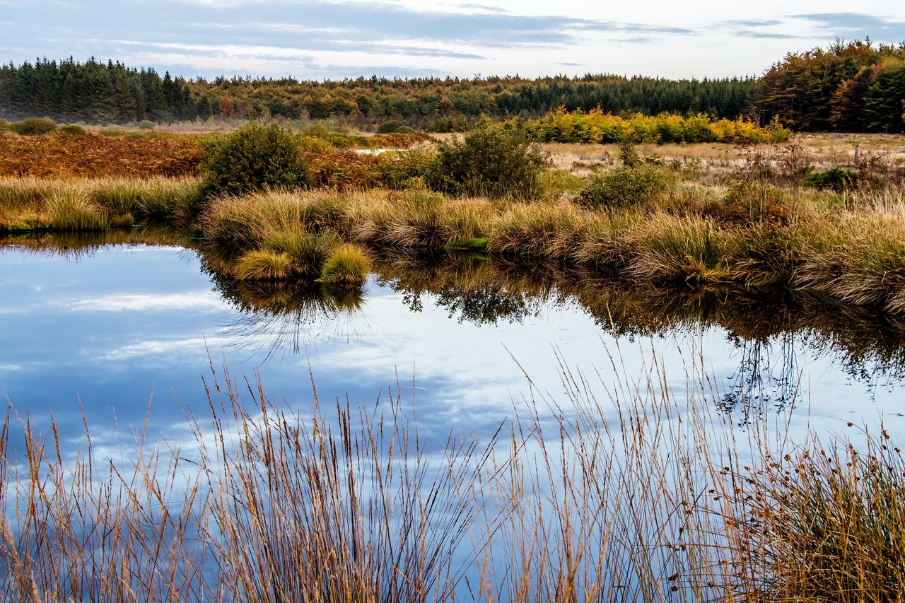 Dáil debate demanded on EU Nature Restoration Law