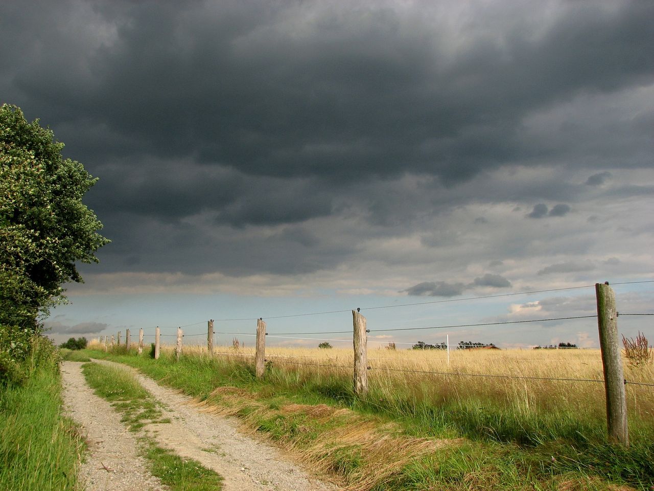Thunderstorm warning issued for 9 counties