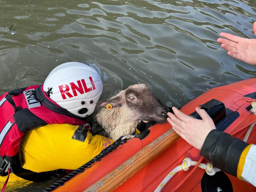Source: RNLI
