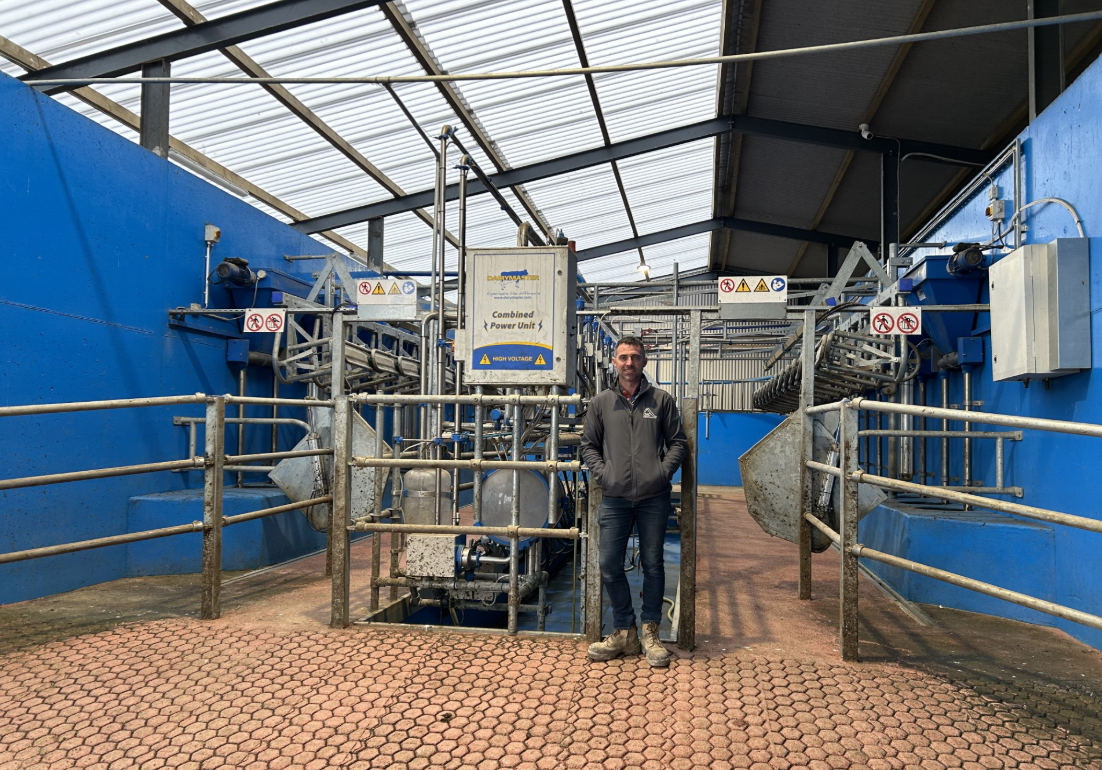 Dairy Focus: Managing a construction company while milking cows