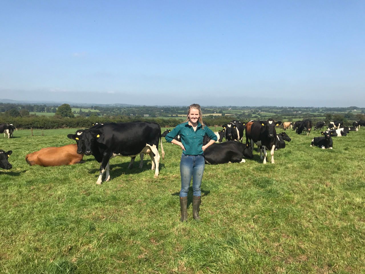 Dairy Focus: Paving a path into dairying on a leased farm