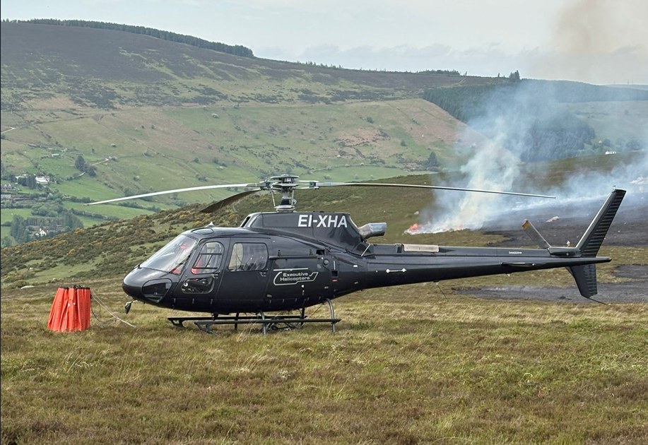 Farmers urged to check livestock amid Dublin gorse blaze