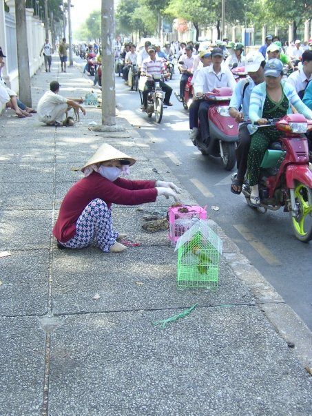 EU agrees free trade agreement with Vietnam