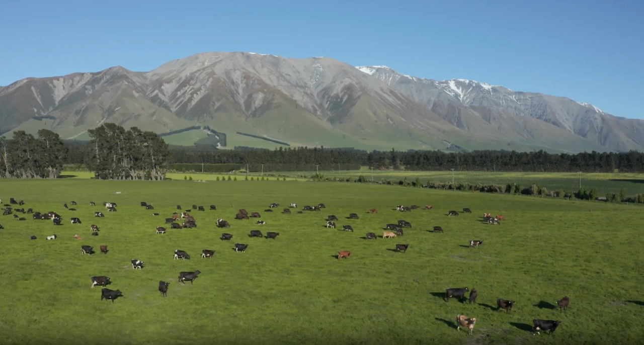 Fonterra raises forecast milk price and pledges farmers will be 'paid more earlier'