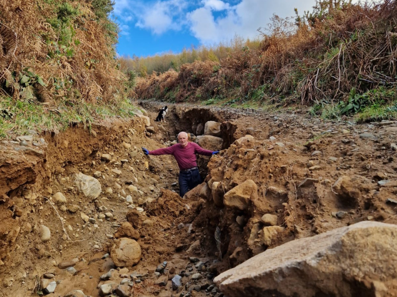 Christmas tree farmer unable to access land due to flooding damage