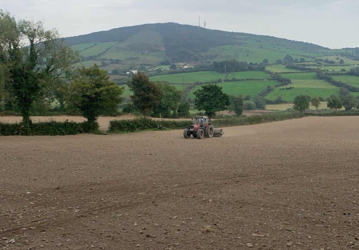 Opportunity to get more reseeding done during good weather