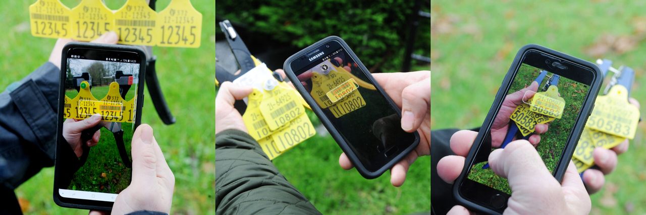 Herdwatch tackles 'common cross-compliance issue' in new move