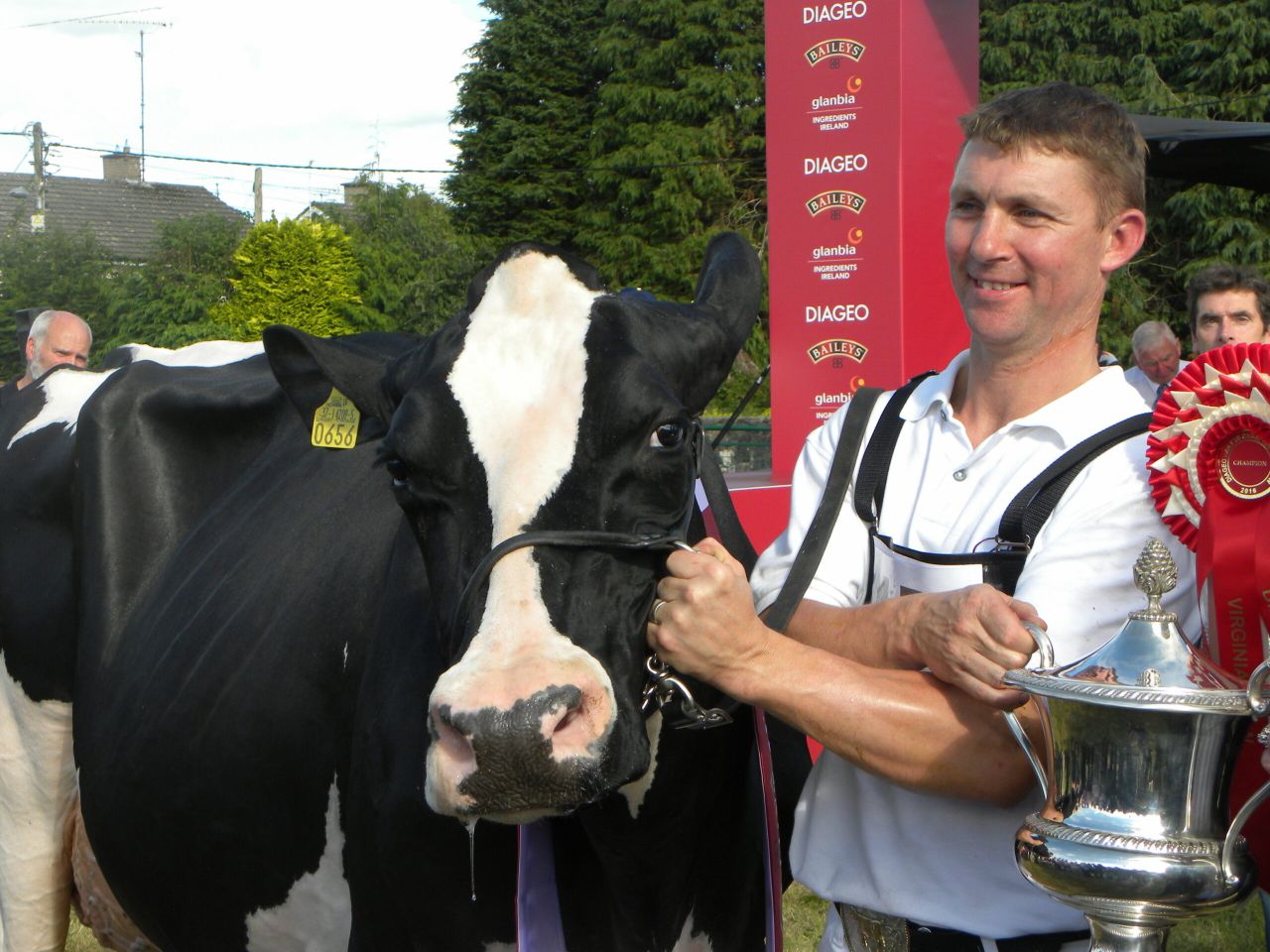 Wexford breeder wins Diageo Baileys Dairy Cow of the Year