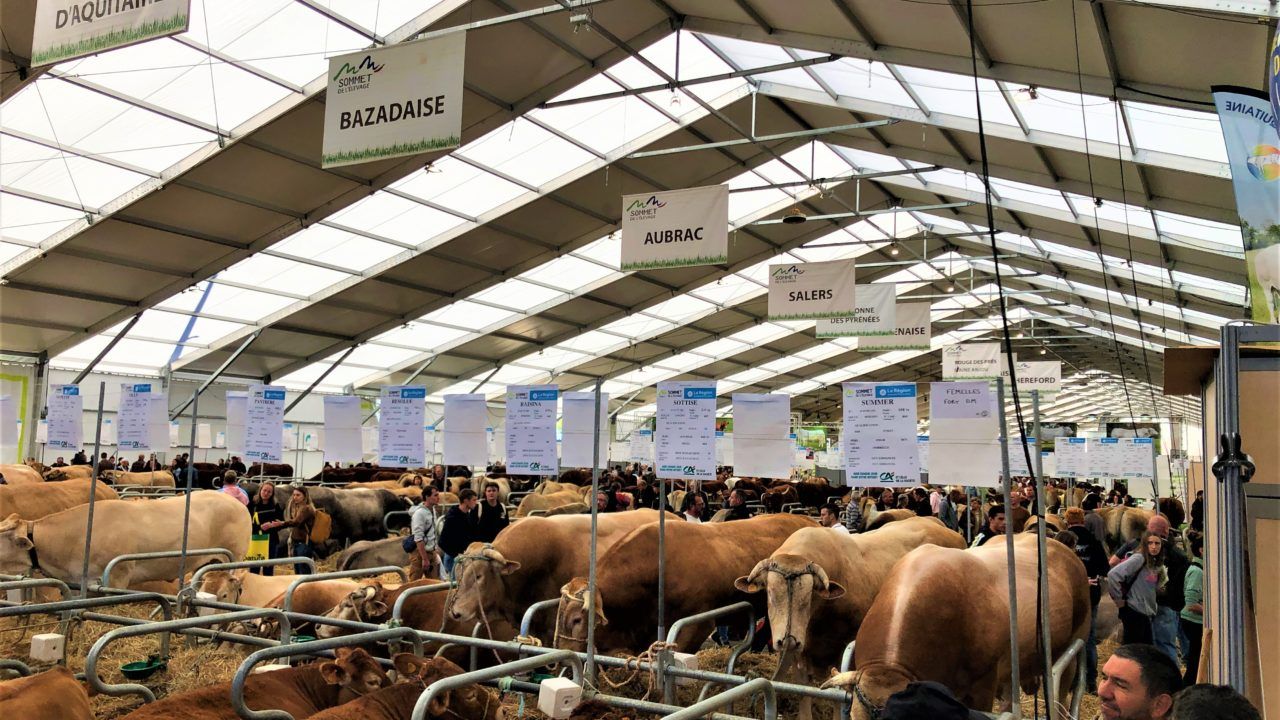 Sommet de l’Élevage agri-show kicks off in France today