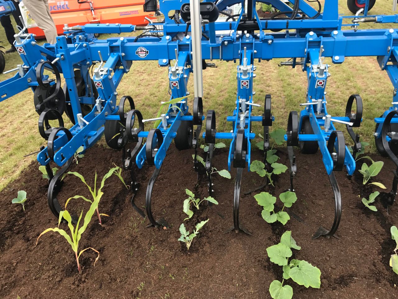 2018...when the hoe came back in fashion on the tillage tramlines