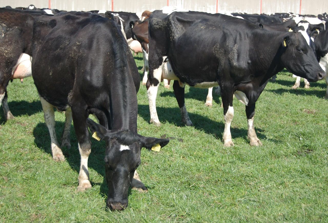 'Significant effort needed to meet emissions reduction targets'