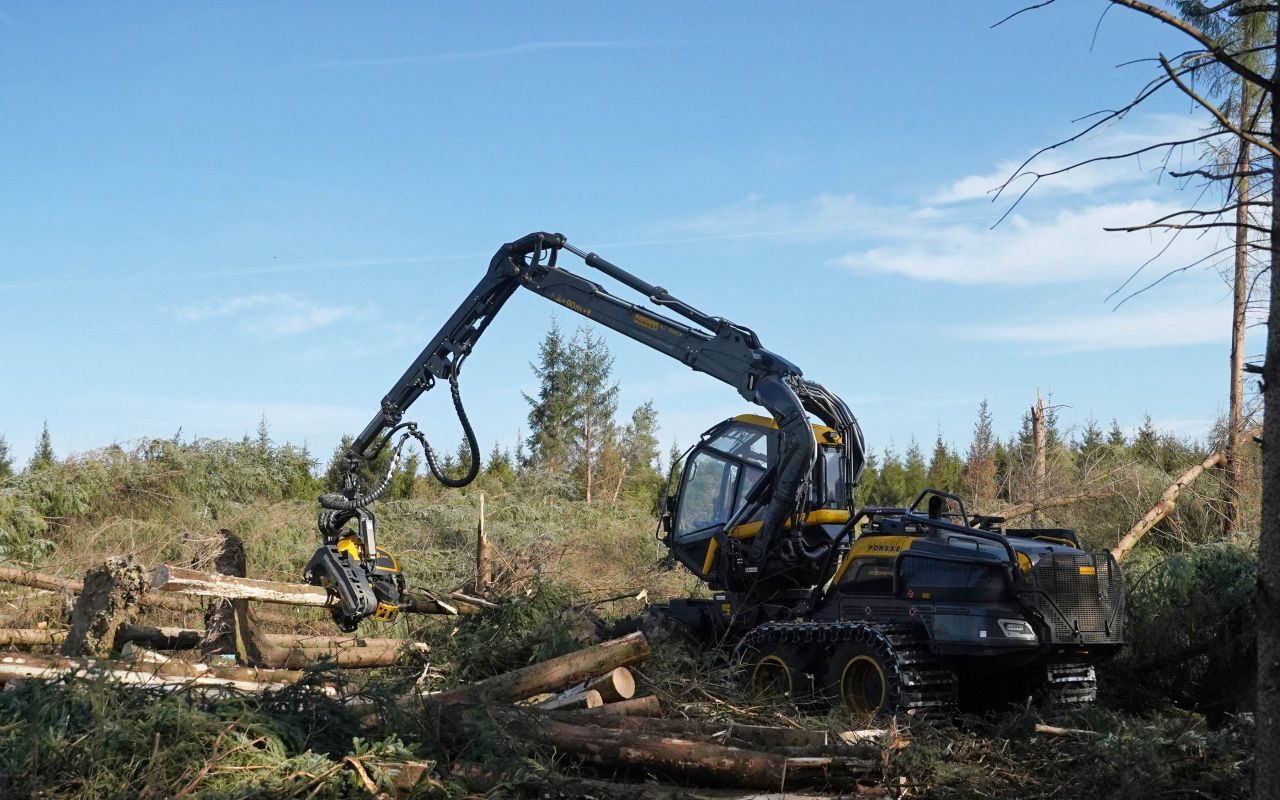 Timber demand to outstrip supply by 2050 - FII
